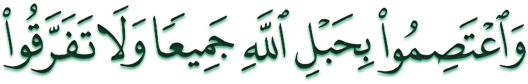 مجمع جهانى تقريب مذاهب اسلامى