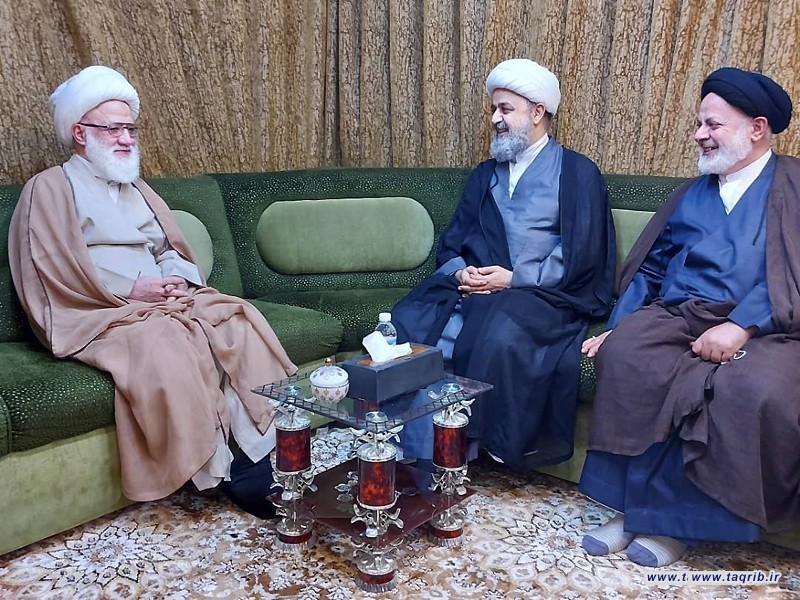 دیدار دبیرکل مجمع تقریب با آیت الله یعقوبی در نجف اشرف