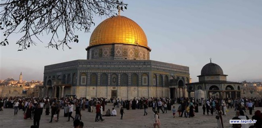 برگزاری رفراندوم، راه حل نجات فلسطین