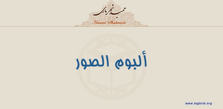 ألبوم الصور