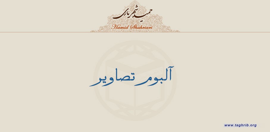 آلبوم تصاویر